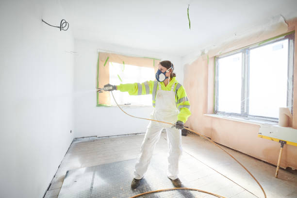 Professional Mold Removal in Blaine, TN