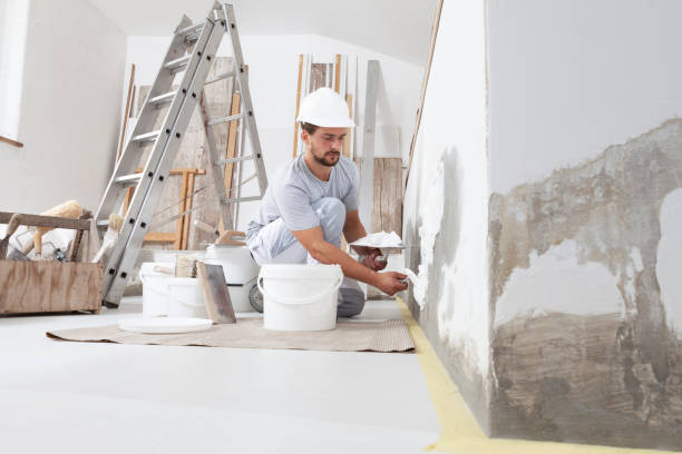 Best Mold Removal for HVAC Installations  in Blaine, TN
