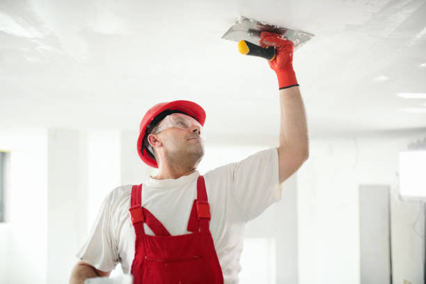 Best Mold Prevention Services  in Blaine, TN
