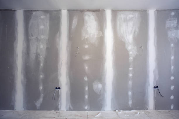 Best Crawl Space Mold Remediation  in Blaine, TN